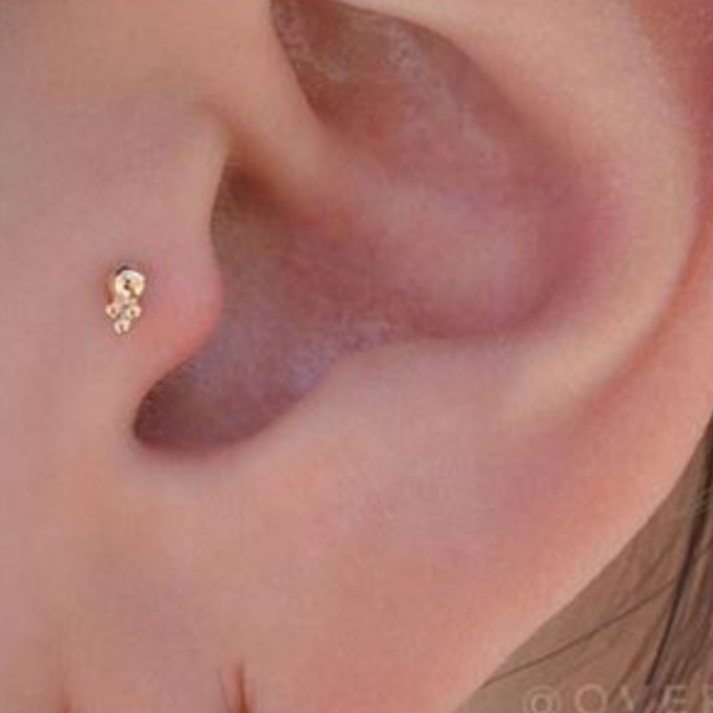 Anatometal 18k RoseGold Desta Threadless End - Picture 2 of 8